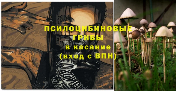 PSILOCYBIN Беломорск